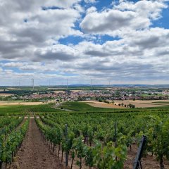 Blick auf Gau-Bickelheim