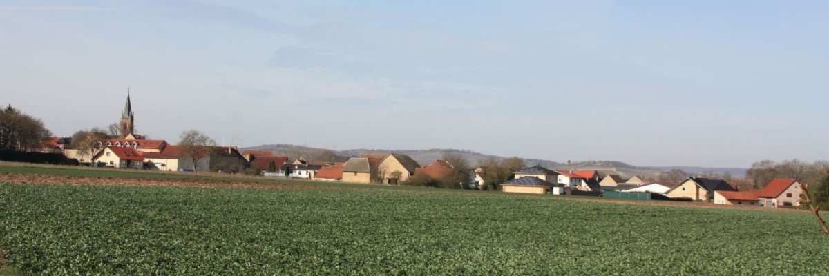 Blick auf Gumbsheim