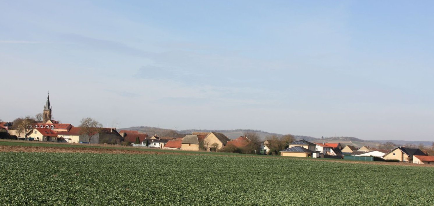 Blick auf Gumbsheim