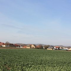Blick auf Gumbsheim