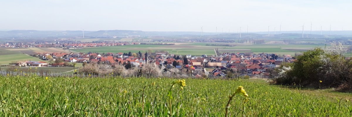 Blick auf Siefersheim Blick auf Siefersheim