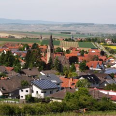 Blick auf Siefersheim