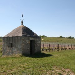 Weinbergshäuschen bei Siefersheim