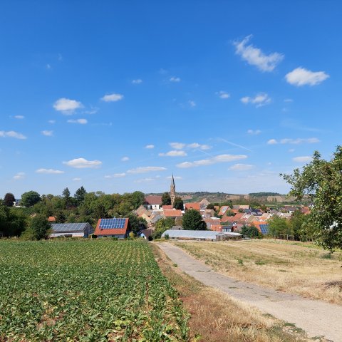 SteinBockenheim Verbandsgemeinde Wöllstein