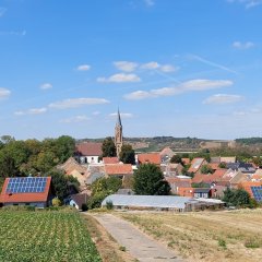 Blick auf Stein-Bockenheim