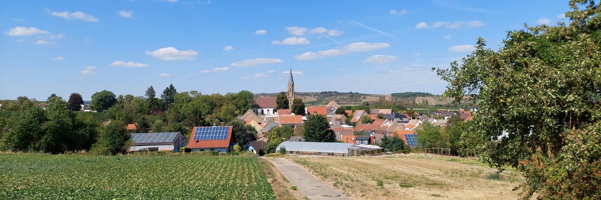Blick auf Stein-Bockenheim Blick auf Stein-Bockenheim