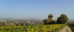 Wasserturm Wöllstein Wasserturm Wöllstein