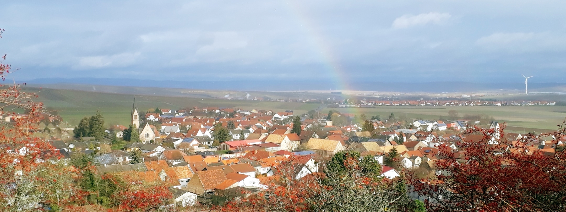Siefersheim im Winter