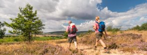Wandern auf der Hiwweltour Heideblick Wandern auf der Hiwweltour Heideblick