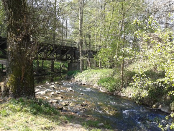 Wöllsteiner Tälchen Wöllsteiner Tälchen