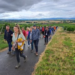 Einweihung der Weinbergshäuser