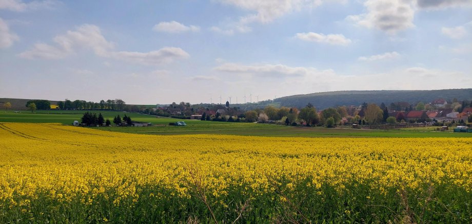 Wendelsheim Rapsfeld